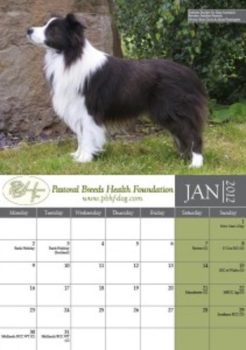 Show how you’re special with bespoke calendar printing